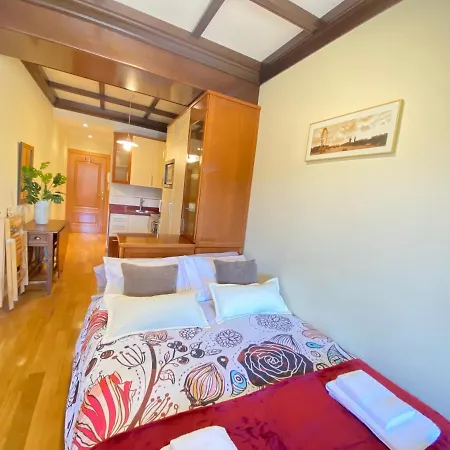 Plaza Mayor 19-precioso Estudio Unico En * サラマンカ